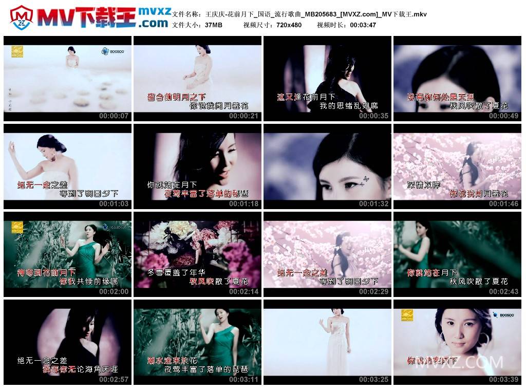 王庆庆-花前月下_国语_流行歌曲_MB205683